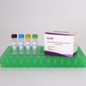Kit <span class=keywords><strong>de</strong></span> 50 reacciones del virus <span class=keywords><strong>de</strong></span> la leucosis aviar qRT-PCR (sonda FAM) | Pruebas <span class=keywords><strong>de</strong></span> aves <span class=keywords><strong>de</strong></span> corral - Product Image 3