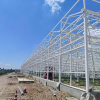 Rumah Kaca Pertanian Multi-Span Berbahan Kaca untuk Tanaman / Sayuran / Bunga