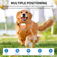 Traceur GPS pour animaux de compagnie, orange, étanche, localisateur pour chien et chat, dispositif de suivi intelligent en temps réel Bluetooth pour une utilisation en extérieur