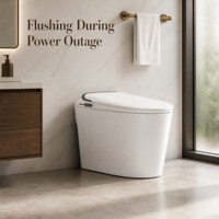 WC intelligent mural avec bidet électrique, double chasse d'eau, capteur, siège chauffant et réservoir intégré pour usage domestique