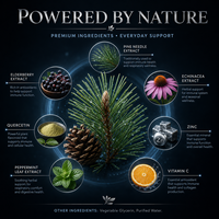 Complément d'extrait d'aiguilles de pin avec sureau, échinacée, quercétine, vitamine C, zinc et menthe poivrée – Approvisionnement en vrac liquide