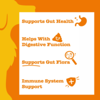 Probiotiques pour chiens de pointe OEM/ODM sous forme de friandises molles - Soutien à la santé digestive |   Soulagement de la diarrhée, des allergies, renforcement immunitaire |