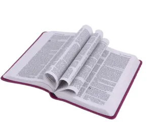 Hardcover Book King James Version Bible Printing High Quality The Bible Printing With A Pocket