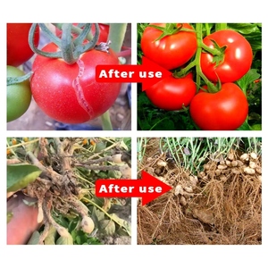 Suplemento Nutritivo Líquido Orgánico para Cultivos de Campo, Fertilizante Micronutriente Soluble en Agua - Product Image 4