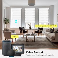 Stores zébrés motorisés électriques avec télécommande, compatibles Google Home, Alexa, WiFi, Matter/HomeKit, stores intelligents pour fenêtre