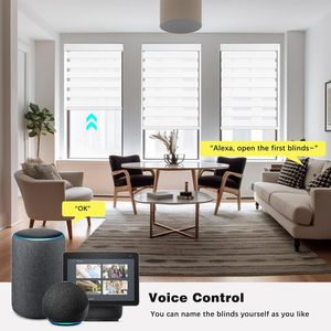 Tenda a Rullo Zebra Motorizzata Elettrica con Telecomando, Compatibile con Google Home, Alexa, WiFi, Matter/HomeKit - Product Image 1