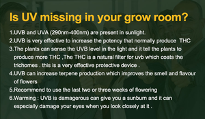 Barra de 30W Bavagreen Seoul 310nm UVB UV causa más ramificación y menos estiramiento Uv Booster LM Smartbar - Product Image 3