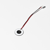 Disque d'atomisation à micro-trous SWT 12,8 mm Nano Cold Spray pour humidificateur oculaire