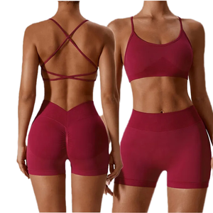2023 Logo personnalisé respirant Fitness Gym vêtements de sport 2 pièces grande taille soutien-gorge et short de sport entraînement Gym Fitness ensembles - Product Image 4