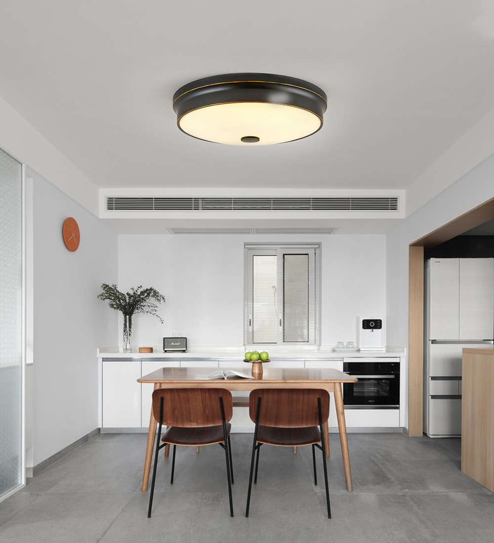 Contemporary Nordic Ceiling Light Iron Round Flush Mount Ceiling Lighting Elegant Modern Led Ceiling Lamp For Living Room