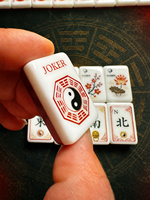 160 Buah Set Mahjong Amerika dengan Tas Pembawa, Dadu, Chip, Ukuran Standar, Set Lengkap Permainan Mah-Jongg untuk Pasar AS
