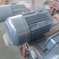 Moteur électrique asynchrone triphasé haute efficacité IE5 300W 220V 750W 60Hz, modèle YE5, enroulement 100% cuivre