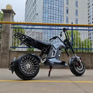 Çin motosiklet üreticisi hızlı kargo yetişkinler için 12 inç yağ lastik ile 3000w elektrikli Scooter