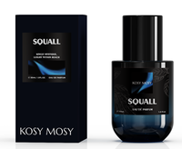 Parfum pour homme de marque privée, Cologne de voyage haut de gamme 30 ml, senteur boisée longue durée, parfum corporel écologique pour entreprises