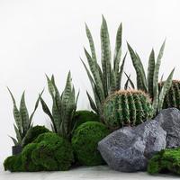 Plante Artificielle DIY : Orchidée Tigre Artificielle pour Décoration d'Intérieur – Plantes et Verdure Artificielles de Table à l'Aspect Naturel et Luxueux