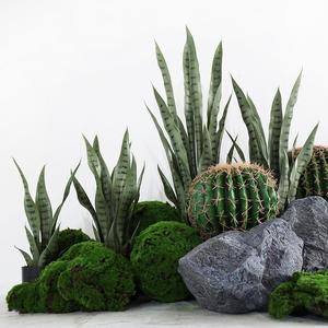 Planta Artificial Decorativa, Orquídea Tigre Artificial, Decoración de Hogar de Lujo, Plantas Artificiales y Verdes de Aspecto Natural para Mesa - Product Image 5