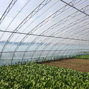 Películas de Poliolefina (PO) para Agricultura, Cubierta para Suelos de Invernadero - Product Image 2