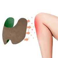 Konmon Nieuwe Product Biologische Hennep Olie Aangepaste Logo Chinese Pleisters Voor Pijn Alsem Pijnbestrijding Patch Voor Knie
