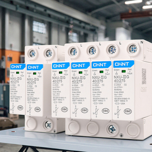 NXU T1 1P 40A อุปกรณ์ป้องกันไฟกระชาก อุปกรณ์ป้องกันไฟกระชากอุตสาหกรรม 220v 380v โมดูลสามเฟส - Product Image 1