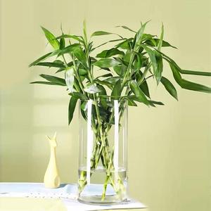 Nouveau Design 2.5 ''Diamètre Grand <span class=keywords><strong>Table</strong></span> Fleurs Vase Vase Cylindre En Verre - Product Image 3