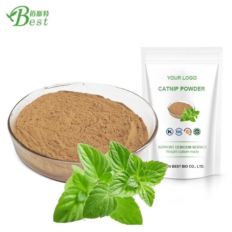 Factory Dropshipping bulk Catnip extract powder Pet toy