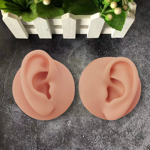 Modèle d'oreille humaine en silicone pour la formation au nettoyage des oreilles et la création de moules pour aides auditives - Product Image 3