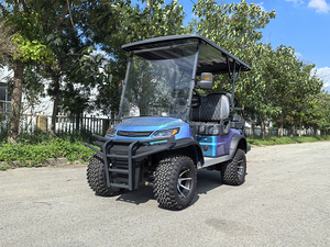 Mini carrito de golf eléctrico de doble asiento con kit de motor Vehículo ecológico para entusiastas del golf - Product Image 3