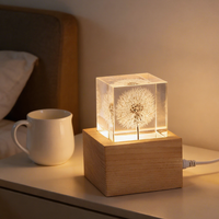 Lampe de nuit en résine de pissenlit stabilisé en gros, lampe décorative LED tactile rechargeable par USB pour souvenir et cadeau