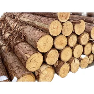 Hữu ích Nhật Bản Hinoki Cypress gỗ gỗ giá cây có giá trị