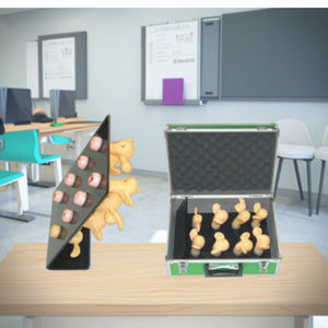 Modelo Anatómico de Lesiones Cervicales Uterinas de 8 Piezas para Entrenamiento de Enfermeras y Escuelas de Medicina - Product Image 2