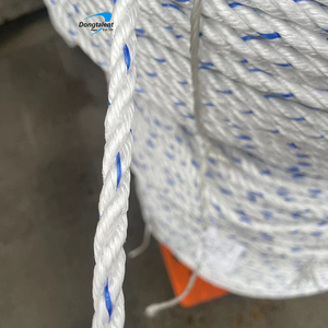 Hot Bán 3/4 Sợi Xoắn Chịu Mài Mòn Cường Độ Cao 4Mm 8Mm 12Mm 16Mm 20Mm Polypropylene PP Danline Bao Bì Dây - Product Image 1