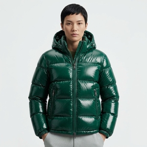 Veste d'hiver pour homme, tendance, courte, épaisse, à capuche, style bomber, brillante, en duvet, à prix avantageux - Product Image 1