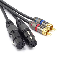 Câble d'extension Audio plaqué or 2RCA mâle vers 2XLR femelle pour mélangeur fil en cuivre pur câble adaptateur RCA vers XLR 1.5m