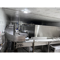 Hoogwaardig automatisch IQF-vriesysteem met een capaciteit van 500 kg/uur, blastvriezertunnel voor voedselverwerkingsfabrieken