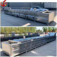 Nieuwe industriële waterblancheringsmachine met temperatuurregeling, SUS 304 roestvrij staal, elektrische/stoomverwarming, capaciteit 100 kg/uur