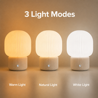 Lampe de chevet LED moderne imprimée en 3D, rechargeable, en plastique, avec batterie USB Type C, tactile et à intensité variable, flexible et simple