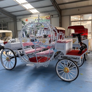 Carruaje Eléctrico de Lujo Zhenda Royal sin Caballos en Varios Colores, Hecho en Henan - Product Image 5