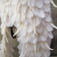 Vente en gros de véritable décoration déguisement aile rose longue grande plume d'autruche blanche adulte ailes d'ange pour la fourniture de fête