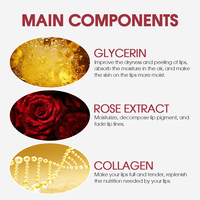 Masque Lèvres Coréen Végétalien Personnalisé au Collagène de Rose en Gros – Fournisseur OEM, Marque Privée, Patch Lèvres Rose Bio au Gel d'Aloe Vera pour la Beauté