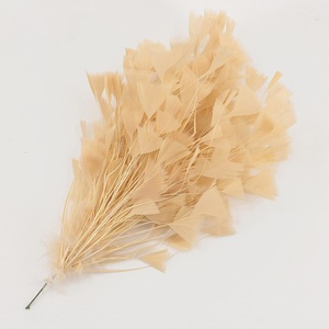 25-30CM fournitures de chapellerie montage plumes fleurs dépouillé <span class=keywords><strong>plume</strong></span> montage chapeaux <span class=keywords><strong>plume</strong></span> pour chapeau épingle à <span class=keywords><strong>cheveux</strong></span> - Product Image 5