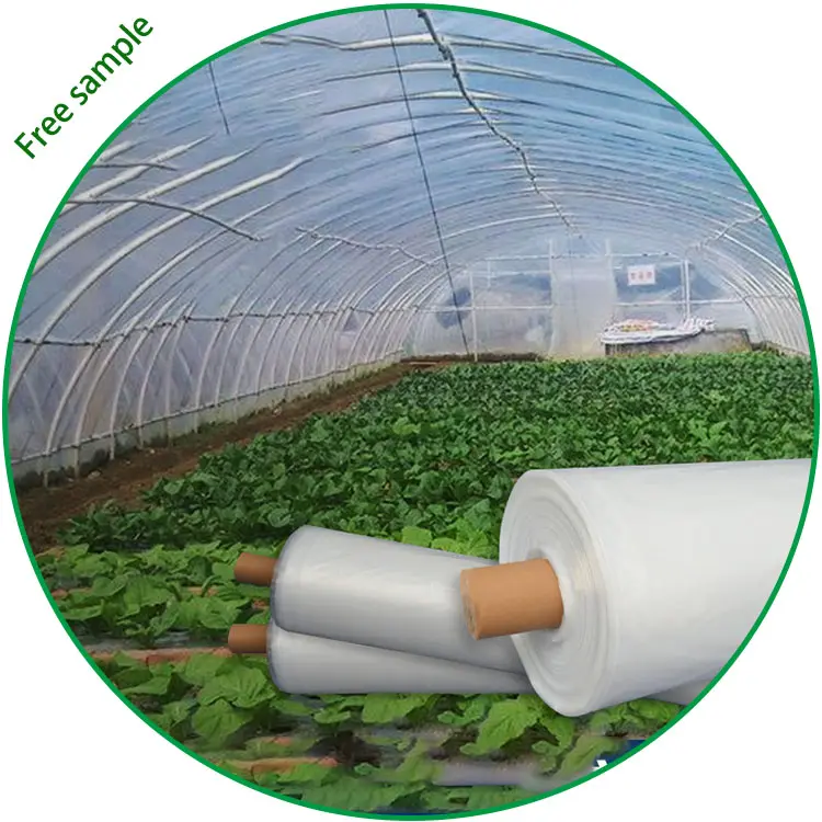 Película de plástico transparente para invernadero, cubierta de polietileno para invernadero con tratamiento UV de 200mic