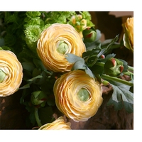 Fleur artificielle en soie de haute simulation, type Ranunculus Asiaticus, pour la décoration de la maison et de mariages (vente en gros)