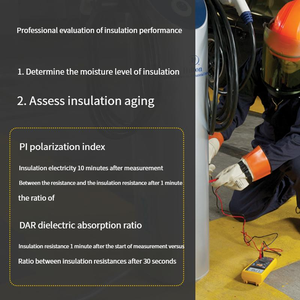 Fluke 1508 IND Hochpräziser digitaler Isolation widerstands tester Megohm meter <span class=keywords><strong>Multimeter</strong></span> 10G Mehrere Tests pannungen - Product Image 4