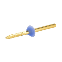 Embouts en carbure professionnels pour le nettoyage des ongles, revêtement TiN, compatibles avec les perceuses à ongles portables