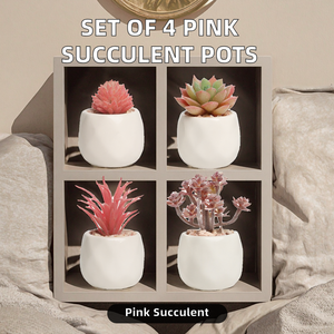OFFERTA SPECIALE Set di 4 Piccoli <span class=keywords><strong>Fiori</strong></span> Artificiali di Succulente <span class=keywords><strong>Rosa</strong></span> in Vaso di Ceramica Bianca con Materiale PE per Decorazione Ufficio - Product Image 2