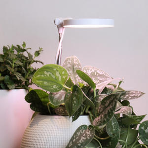 Lámpara de Cultivo LED J&C Planter Mate 7.5w Cretivity, Anillo de Luz de Cultivo para Plantas de Interior, Espectro Completo - Product Image 1