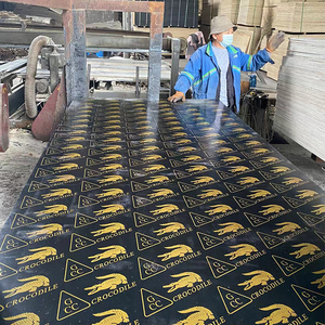 Phim nâu đen phải đối mặt với cây dương <span class=keywords><strong>Polywood</strong></span>/ván ép Xây dựng/ván ép tráng phim 18mm để xây dựng - Product Image 3