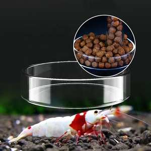 Tubo e Ciotola Trasparenti in Acrilico per Alimentazione Pesci e Gamberetti con Ventosa per Acquario - Product Image 6