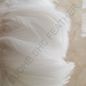 Plume de pêche à nouer à la mouche Offre Spéciale, col de coq naturel et coloré, crochet à plumes enfilées - Product Image 4