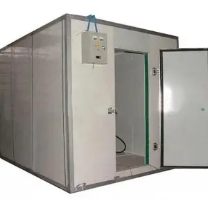 Refroidisseur de conteneur modulaire basé en usine 10 tonnes de chambre froide